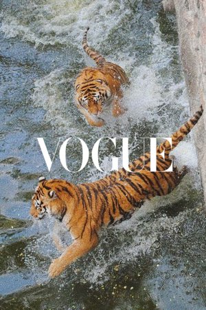 tiger aesthetic vouge - Google Search