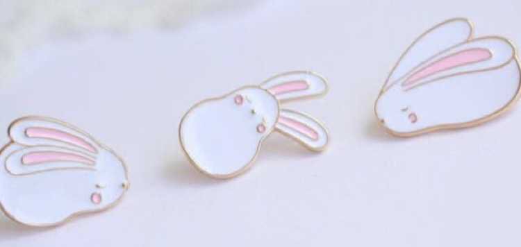 Bunny pins