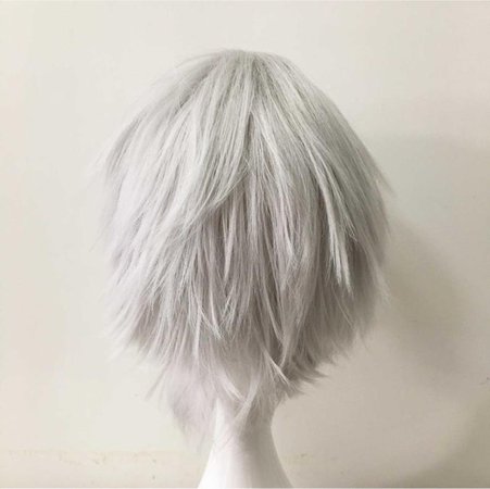 Unisex Silver White Layers Mullet Fringe Bangs Short Hair Cosplay Anime Wig