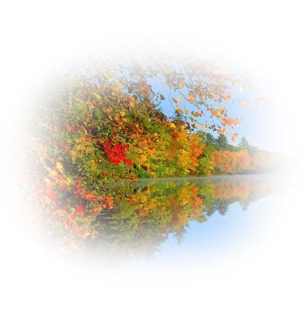 autumn background tube 3
