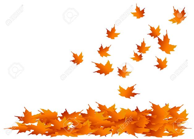 fall background - Google Search