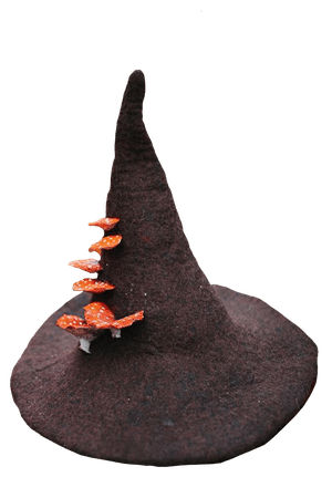 mushroom witch hat