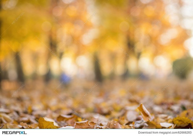 autumn blur background - Google Search
