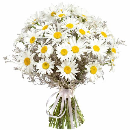 Daisy Gifts | Pure & Pristine Daisy Bouquet - New York Blooms