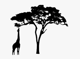 african tree png - Google Search