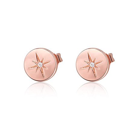 Amazon.com: S.Leaf Minimalist Circle Hexagram Star Earrings Round Disc Stud Earrings for Woman (rose): Jewelry