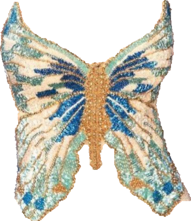 blue butterfly top
