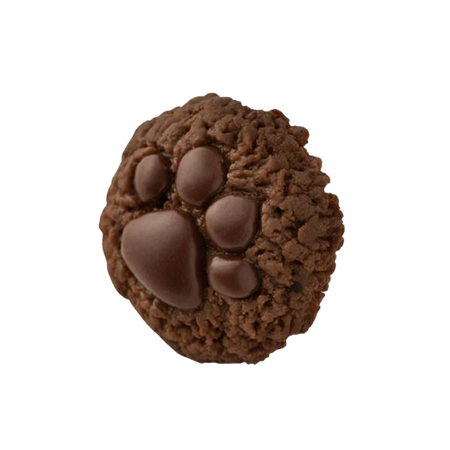 Q-Pot | Teddy Bear's Paw Chocolate Cookie Clip On Earring