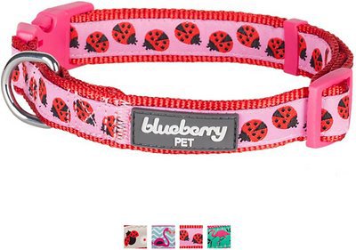 Blueberry Pet Spring Prints Dog Collar, Ladybug, Small - Chewy.com