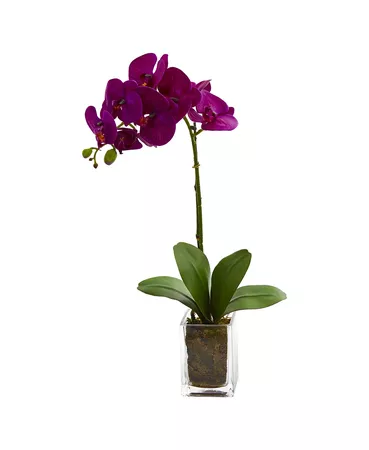 Nearly Natural 24" Orchid Phalaenopsis Artificial Arrangement in Vase