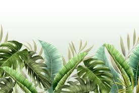 tropical leaves background - Google Search