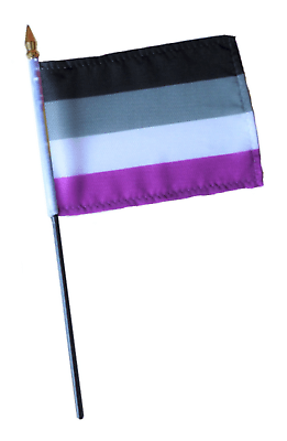 Asexual Ace Pride Edged Small Hand Waving Flag | eBay