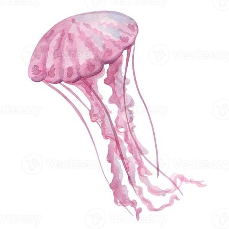 jellyfish pink filler