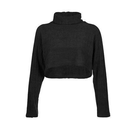 *clipped by @luci-her* Gothic Grunge Turtleneck Long Sleeve Crop Top – ROCK 'N DOLL