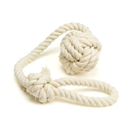 tug of rope toytransparent - Google Search