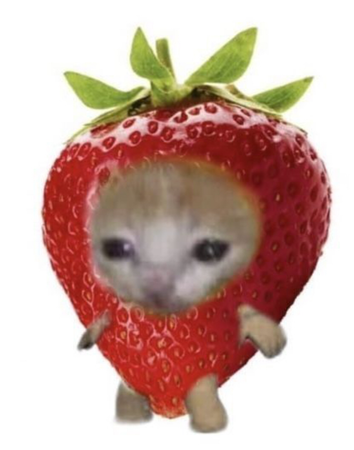 strawberry cat