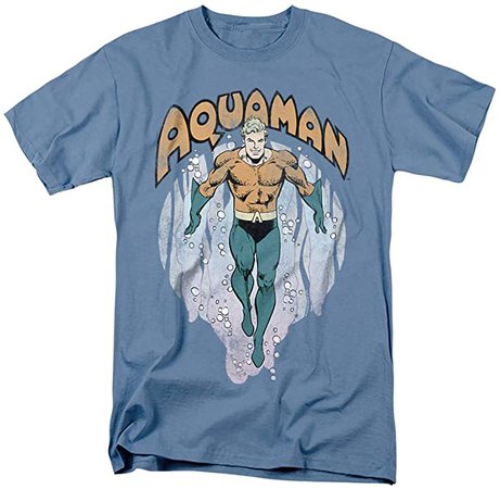 Amazon.com: Aquaman DC Comics King of Atlantis T Shirt & Stickers (Large) Brown: Clothing