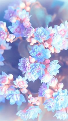 background flowers
