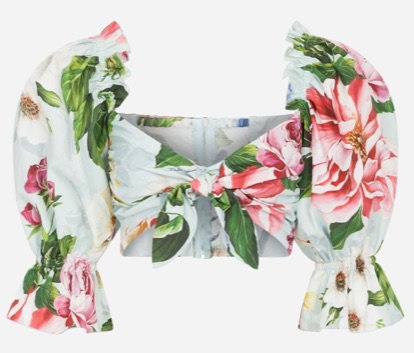 Dolce&Gabbana floral-print poplin crop top