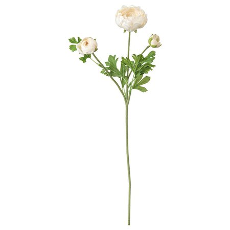 SMYCKA Artificial flower - Ranunculus, white - IKEA