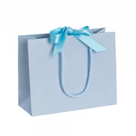 blue gift bag