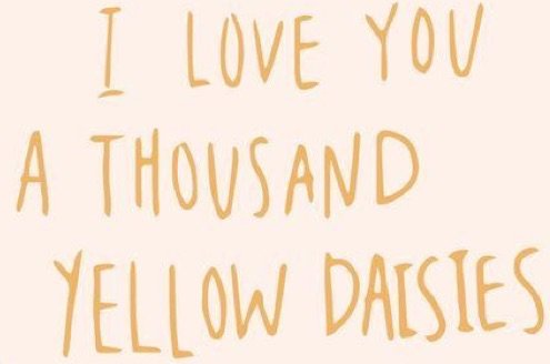 I love you a thousand yellow daisies
