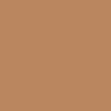 cinnamon brown background
