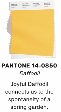Daffodil Pantone Swatch