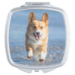 Compacts Beach Gifts on Zazzle