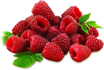 Latham Red Raspberry Plant | Raspberry Plant Varieties