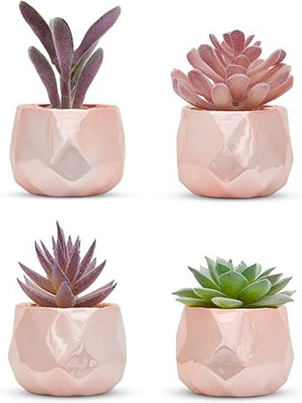 Nordik Set of 4 Desk Plants in Rose Gold - Office Decor for Women, Indoor, Living Room, Bedroom, Home and Desk Decor – Pink Faux Succulents Geometric Ceramic Planters : Amazon.ca: Home