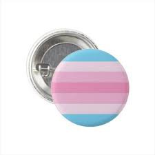 transfeminine pin - Google Search