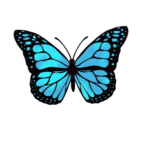 Blue Butteryfly Aesthetic PNG