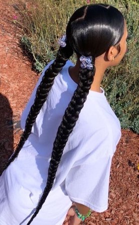 two long braids 💜