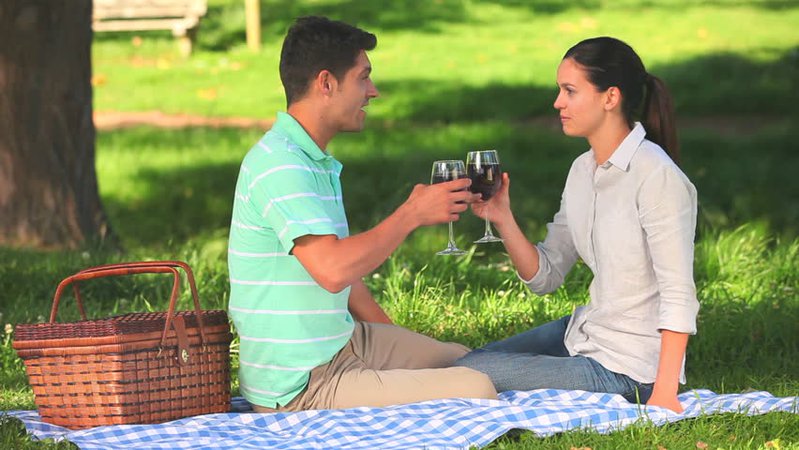 picnic lovers - Google Search