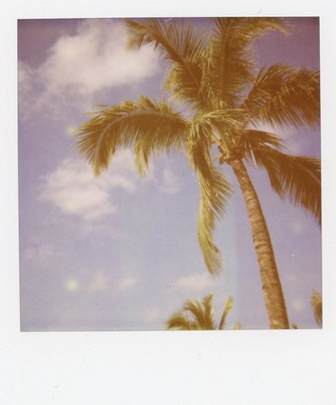 bahamas polaroid
