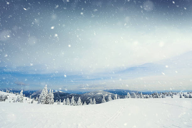 winter outdoors scenic background backdrop png