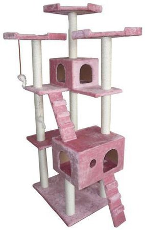 Fennixia Pink Cathouse