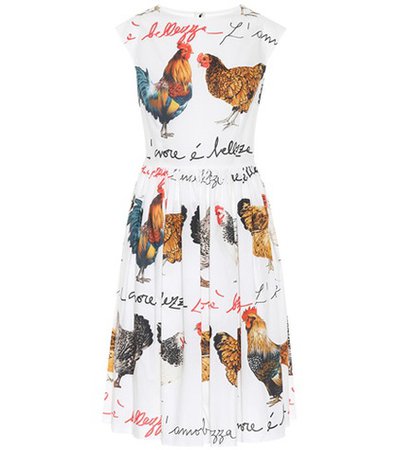 Hen-printed cotton poplin dress