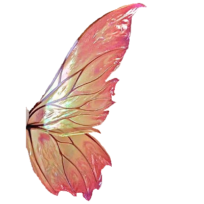 Orange pink Fairy Wing Cutout (Dei5 Edit)