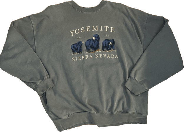 brandy melville yosemite sweatshirt