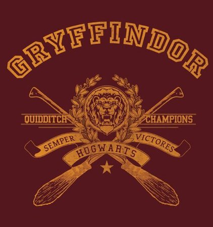 gryffindor quidditch team logo, if only we knew where they bought merch
