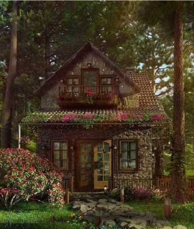 cute forest cottage