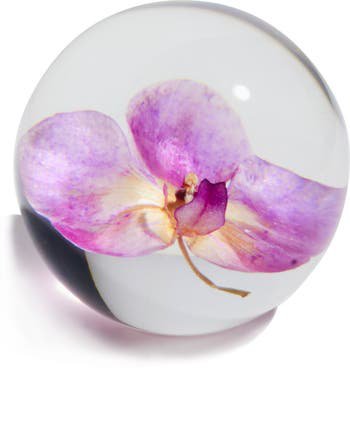 Dauphinette Orchid Paperweight | Nordstrom