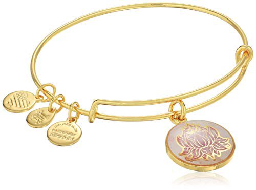 Amazon.com: Alex and Ani Art Infusion Lotus Peace Petals Expandable Rafaelian Gold-Tone Tone Bangle Bracelet: Jewelry