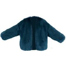 blue fuzzy jacket png