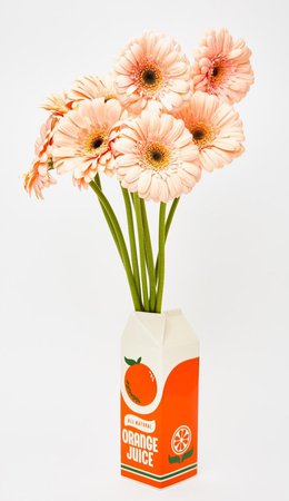 orange juice vase