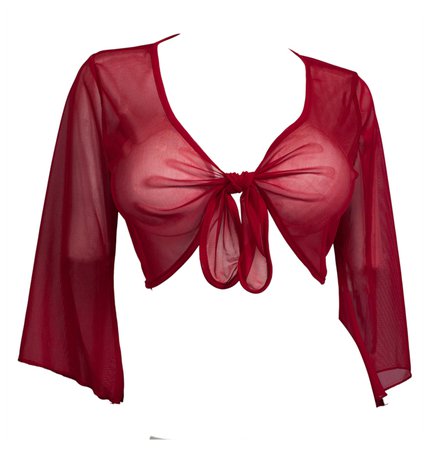 *clipped by @luci-her* Red Sheer Front Tie Bolero Shrug