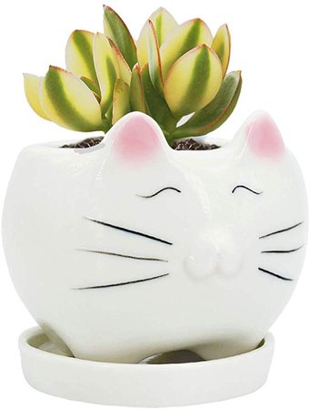 Amazon.com : GeLive Cute Cat Succulent Planter Pot with Drainage Tray, White Ceramic Plant Container, Window Box, Unique Animal for Indoor Home Decor (White) : Garden & Outdoor