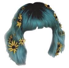 sunflower hair